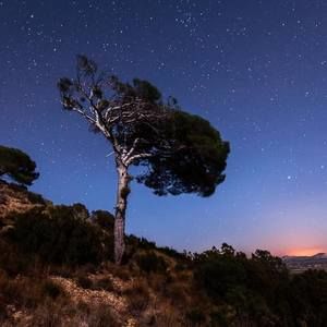 Meet your Posher, Lorena